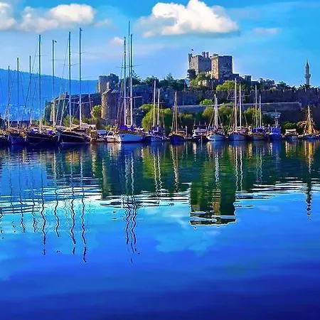 Livane * Bodrum